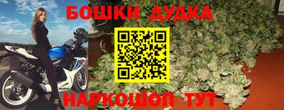мдпв Будённовск