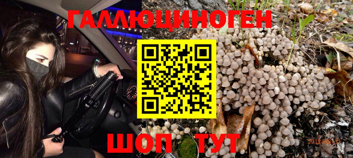 Тейково  Псилоцибиновые грибы Psilocybine cubensis  Вход с VPN  продажа наркотиков  Псилоцибиновые грибы мицелий 